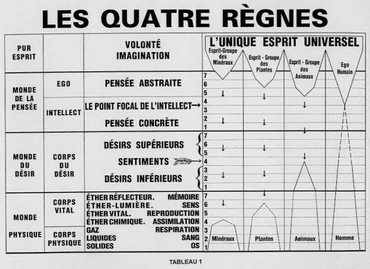 4_regnes.jpg