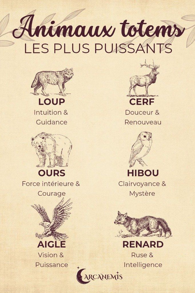 animaux_totem.jpg