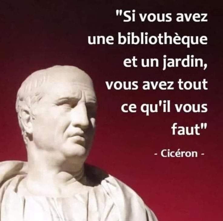 ciceron_2.jpg