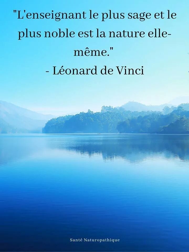 enseignement.jpg