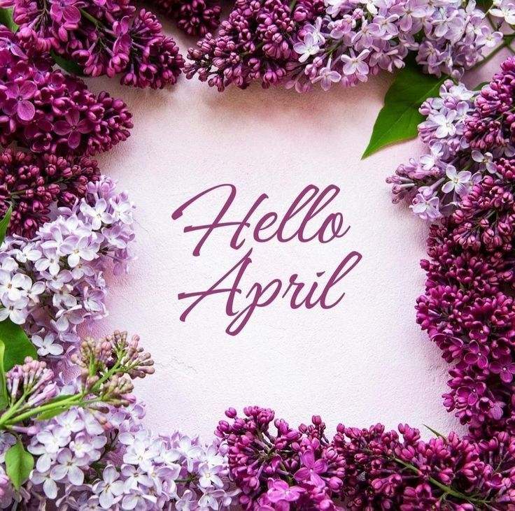 hello_april_2025.jpg