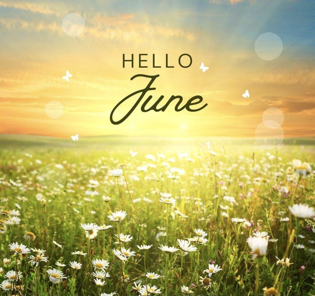 hello_juin26.jpg