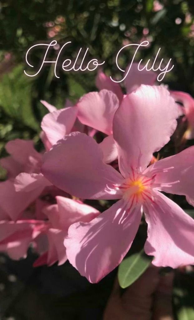 hello_july_25.jpg
