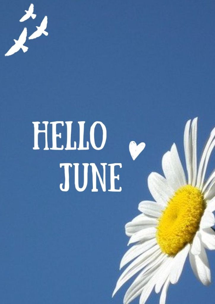 hello_june.jpg