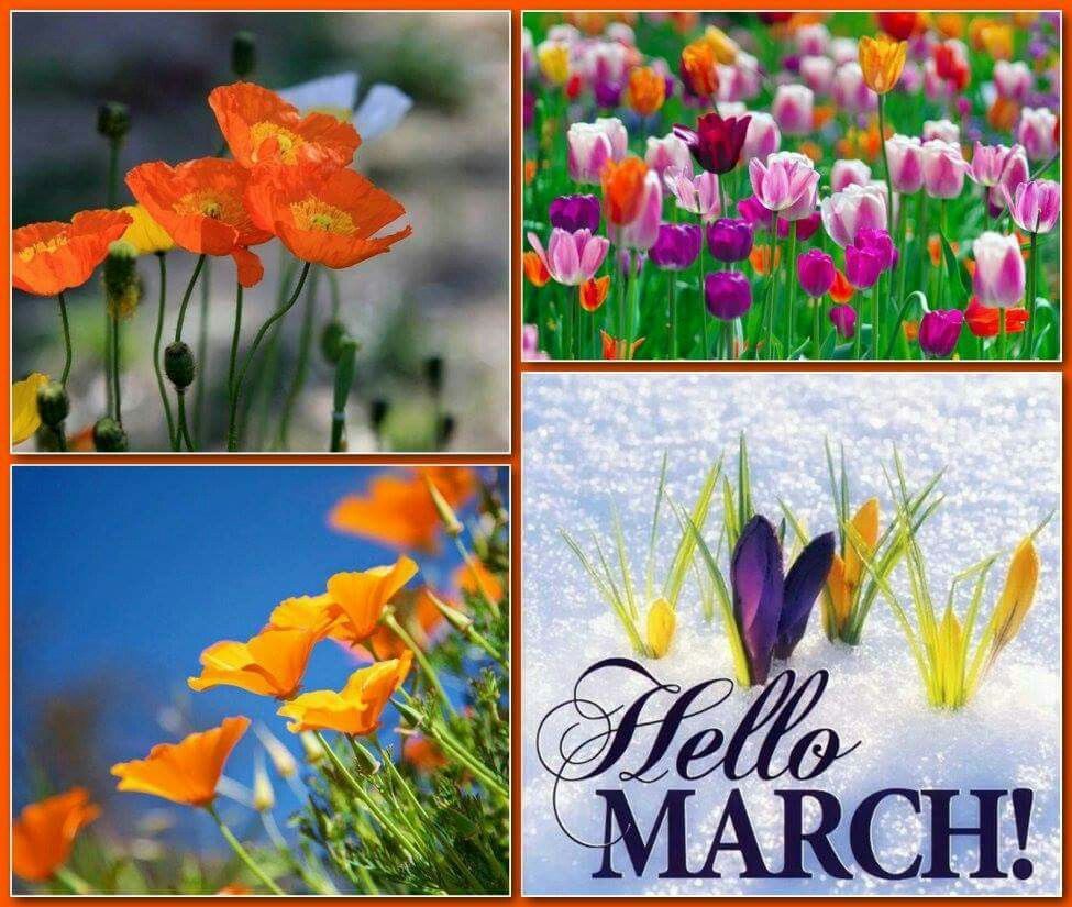 hello_march.jpg