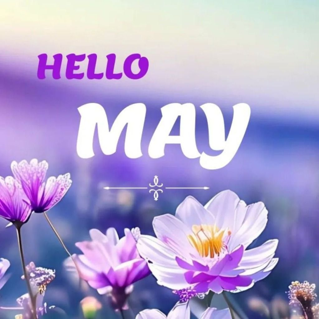 hello_may.jpg
