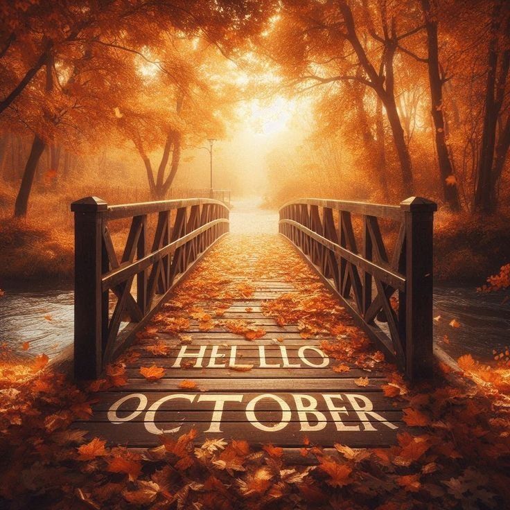 hello_oct.jpg