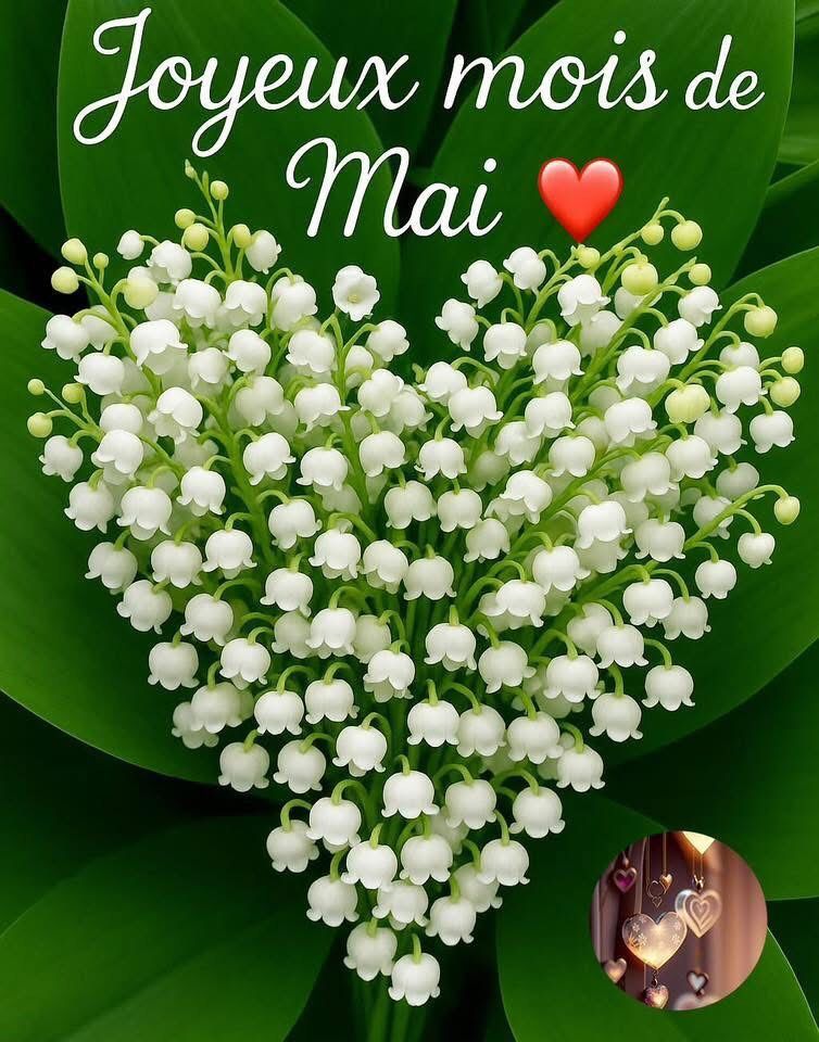 joyeux_mois_de_mai.jpg