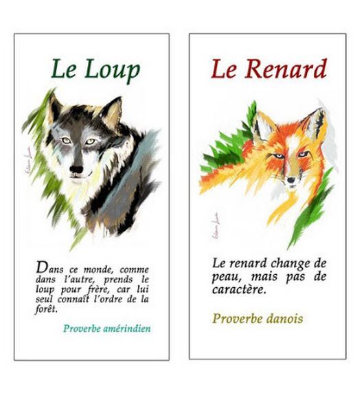 loup_et_renard.jpg