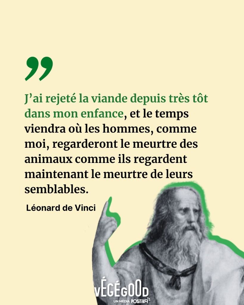 viande.jpg