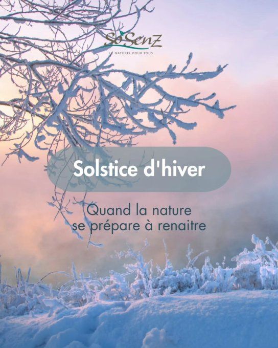 Consultation hiver  1h